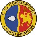 1-125th Infantry Battalion C Company