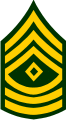Army 1st Sergeant E-8