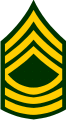 Army Master Sergeant E-8