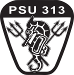 PSU-313 LASER LOGO