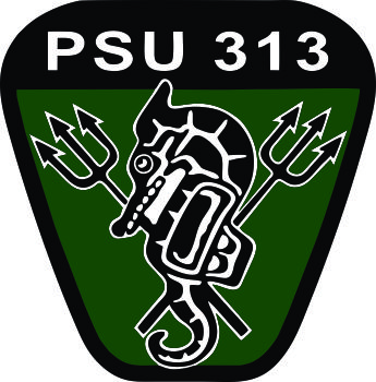 Port Security Unit 313