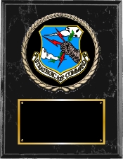 United States Air Force Plaque Group A Style from Military & Government Awards