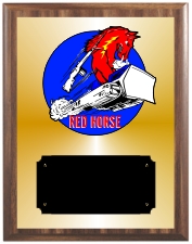United States Air Force Plaque Group B Style from Trophy Express