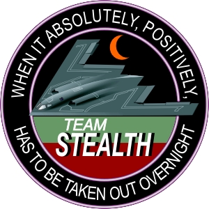 Team Stealth B-2 Bomber