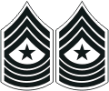 USMC Sergeant Major E9